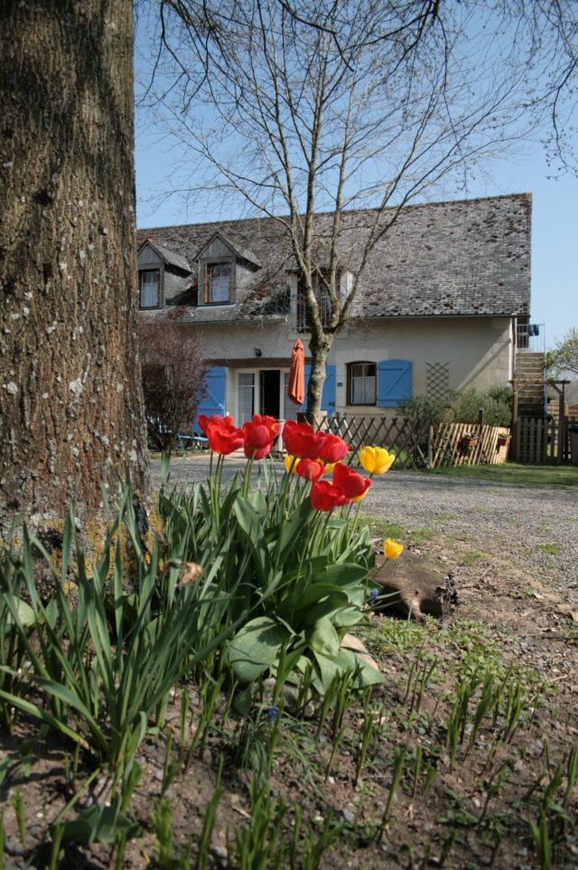 Disabled-friendly gite in the Loire. Happy guests