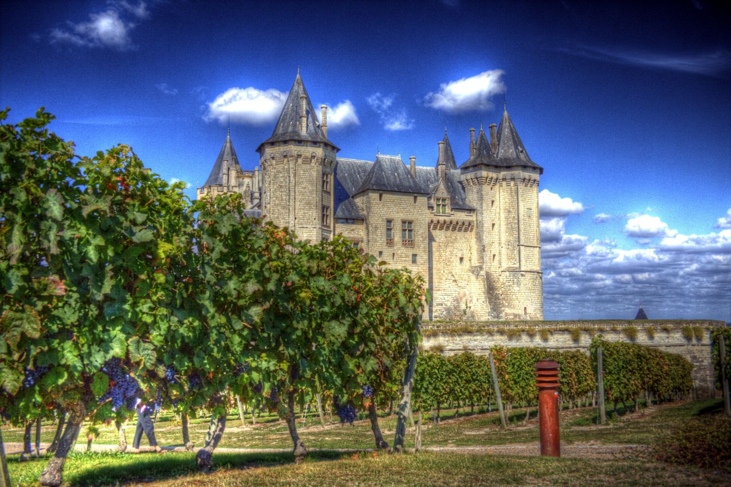 Chateau de Saumur and vineyard Chateau