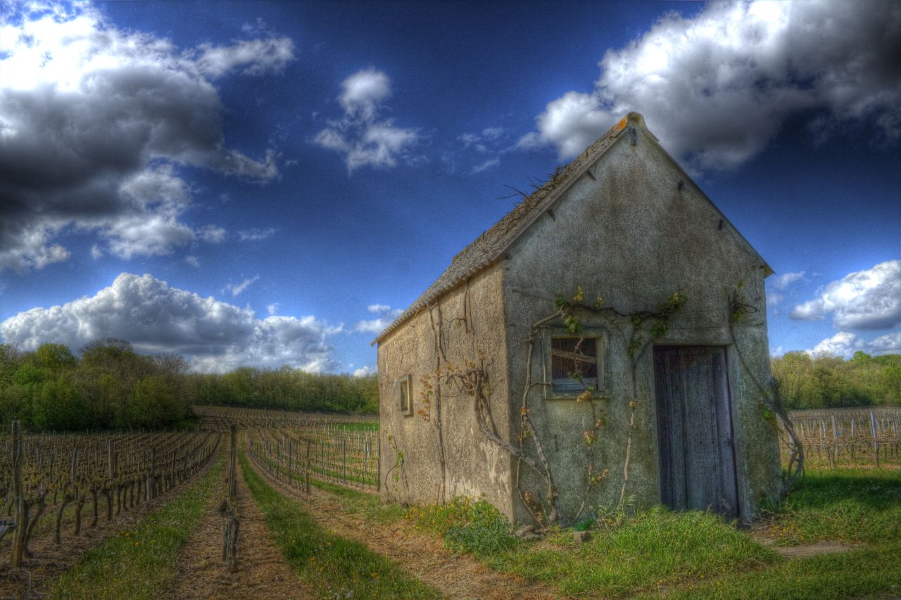 Maison de Vignes Maison de Vignes