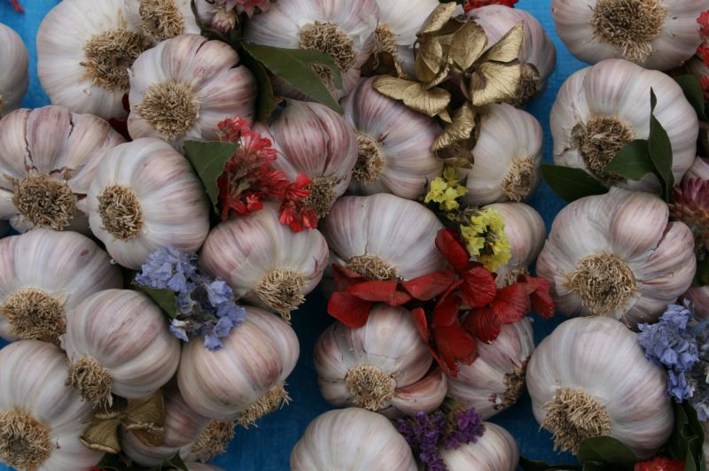 Garlic Ail