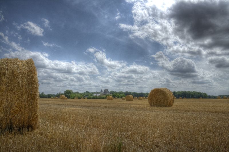 Bales Bales